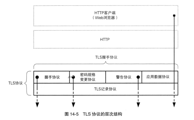 TLS的层次结构